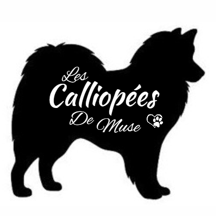 Des Calliopées De Muse